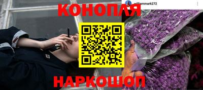 ALPHA PVP Камышлов