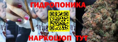 ALPHA PVP Камышлов