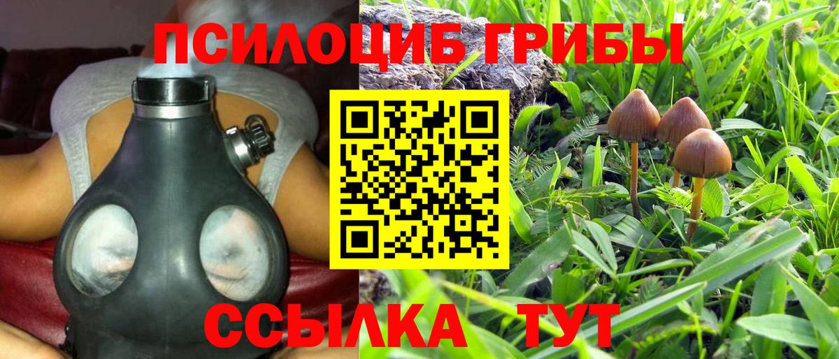 Псилоцибиновые грибы мицелий Вязьма