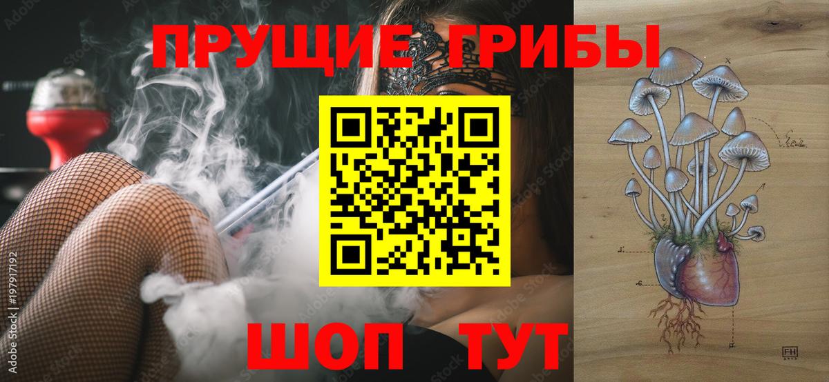 Галлюциногенные грибы Psilocybine cubensis  Вход с VPN  купить закладку  Вязьма 
